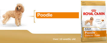 Royal Canin Poodle  Adult (Пудель взрослый)